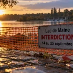 Lac de Maine : le chemin de halage fermé du 14 au 25 septembre